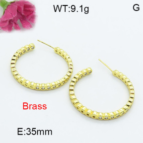 Fashion Brass Earrings  F3E402085bbov-L017