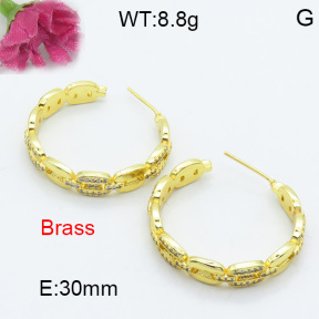 Fashion Brass Earrings  F3E402087bbov-L017