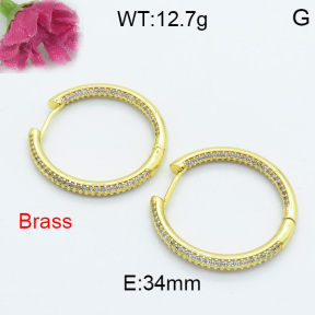 Fashion Brass Earrings  F3E402088ahjb-L017