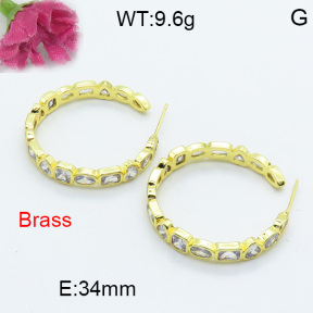 Fashion Brass Earrings  F3E402089bbov-L017