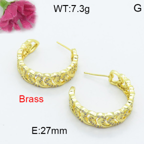 Fashion Brass Earrings  F3E402092bhia-L017