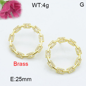 Fashion Brass Earrings  F3E402093bbov-L017