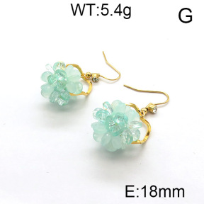 SS Earrings  6E4003055vhha-628