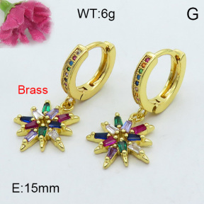 Fashion Brass Earrings  F3E402124ahlv-J125