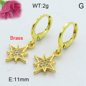 Fashion Brass Earrings  F3E402125bhva-J125