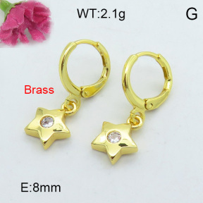 Fashion Brass Earrings  F3E402137vbnb-J125
