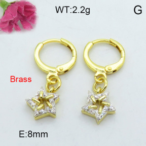 Fashion Brass Earrings  F3E402139bhva-J125
