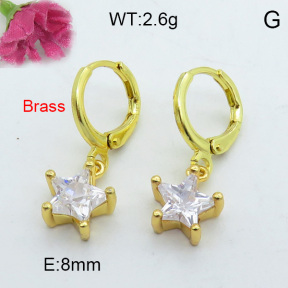 Fashion Brass Earrings  F3E402140vhha-J125