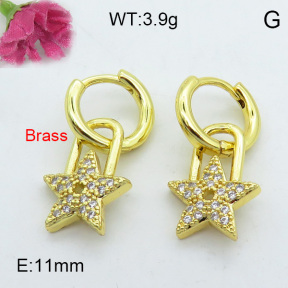 Fashion Brass Earrings  F3E402141bhia-J125