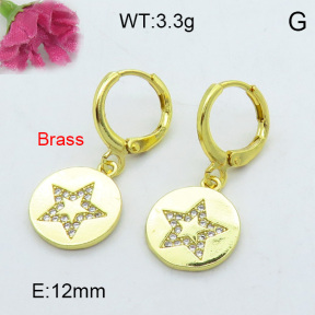 Fashion Brass Earrings  F3E402142vhha-J125
