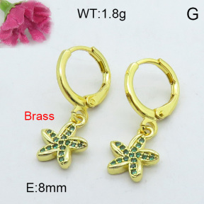 Fashion Brass Earrings  F3E402149bhva-J125
