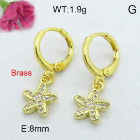 Fashion Brass Earrings  F3E402151bhva-J125