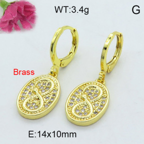 Fashion Brass Earrings  F3E402157bhia-J125