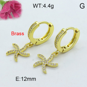 Fashion Brass Earrings  F3E402167vhha-J125