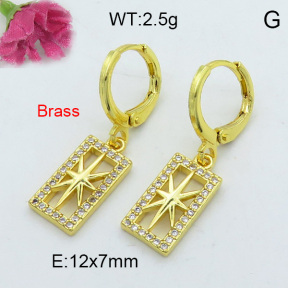 Fashion Brass Earrings  F3E402176bhva-J125