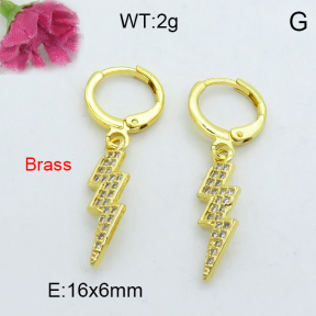 Fashion Brass Earrings  F3E402180bhva-J125