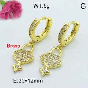 Fashion Brass Earrings  F3E402188bhia-J125