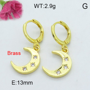 Fashion Brass Earrings  F3E402192bbov-J125