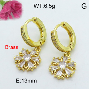 Fashion Brass Earrings  F3E402200vhha-J125
