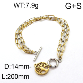 SS Bracelet  6B2002493vbpb-610