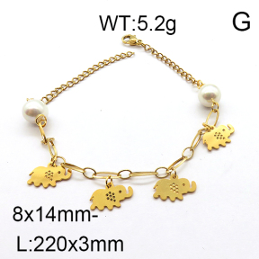 SS Bracelet  6B3001507vbpb-610