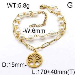 SS Bracelet  6B3001511bhva-610