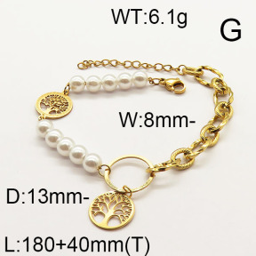 SS Bracelet  6B3001519bhva-610