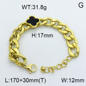 SS Bracelet  3B4002491bhva-669