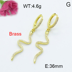 Fashion Brass Earrings  F3E402220bhva-L024