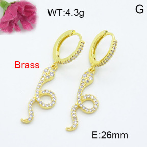 Fashion Brass Earrings  F3E402222bhva-L024