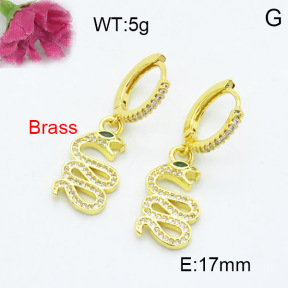 Fashion Brass Earrings  F3E402223bhva-L024