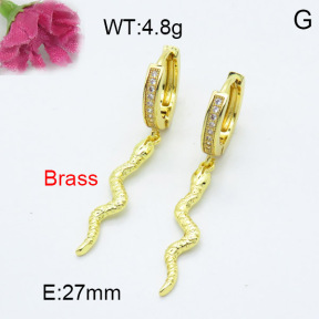 Fashion Brass Earrings  F3E402235vbnb-L024