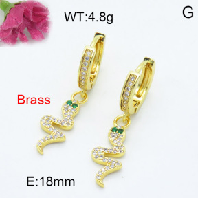 Fashion Brass Earrings  F3E402238vbnb-L024