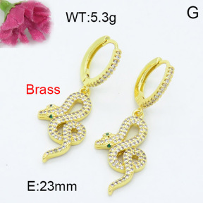 Fashion Brass Earrings  F3E402241bhva-L024