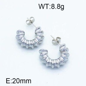 SS Earrings  6E2005465abol-066