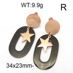 SS Earrings  6E2005444vbnb-382