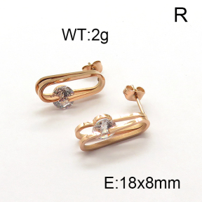 SS Earrings  6E4003182vbnb-725
