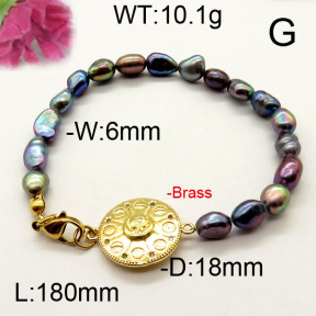 Fashion Brass Bracelet  F6B300495vhmv-J111