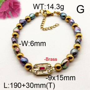 Fashion Brass Bracelet  F6B300509ahlv-J111