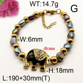 Fashion Brass Bracelet  F6B300510vhnv-J111