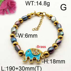 Fashion Brass Bracelet  F6B300511vhnv-J111
