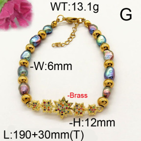 Fashion Brass Bracelet  F6B300513vhnv-J111
