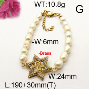 Fashion Brass Bracelet  F6B300520vhnv-J111