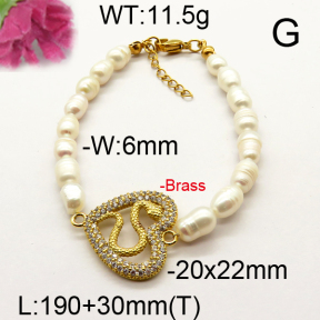 Fashion Brass Bracelet  F6B300527vhnv-J111