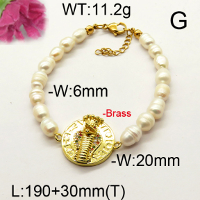Fashion Brass Bracelet  F6B300530vhnv-J111
