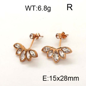 SS Earrings  6E4003200vhnv-706