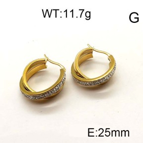 SS Earrings  6E4003202ahpv-706