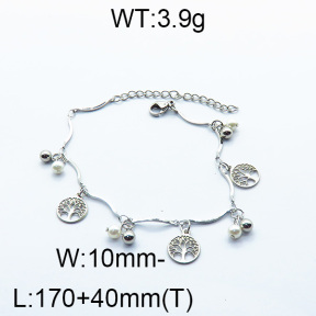 SS Bracelet  6B3001578bbov-350