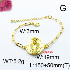 Fashion Brass Bracelet  F6B404483bhia-J66