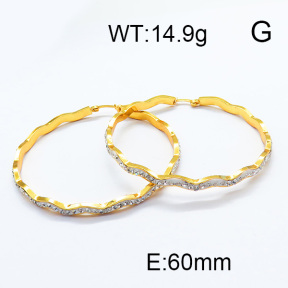 SS Earrings  6E4003245ablb-478